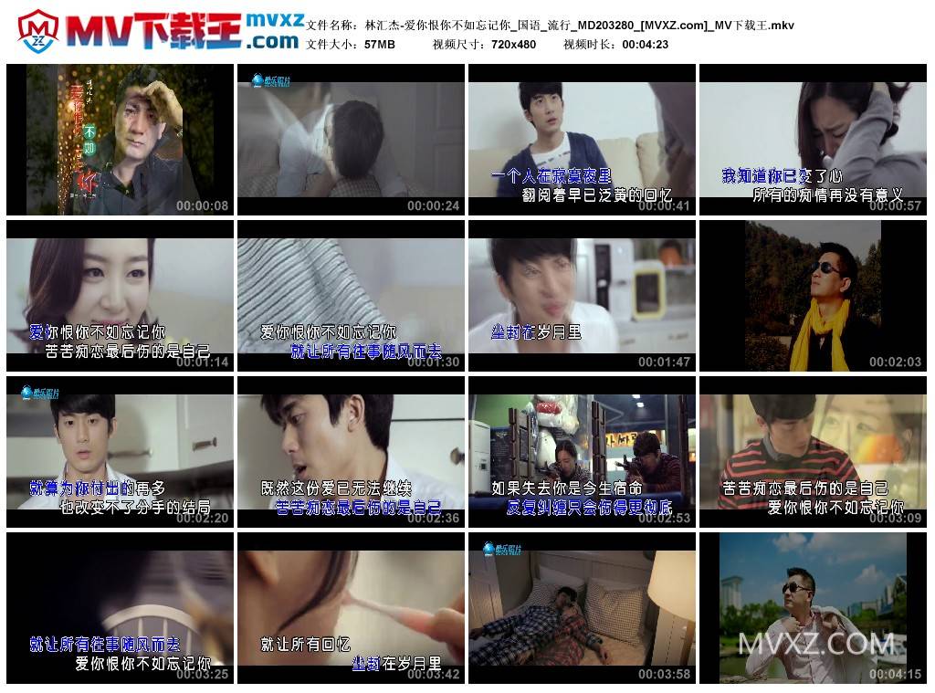 林汇杰-爱你恨你不如忘记你_国语_流行_MD203280